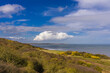View from the clifftop at Reighton. In the distance Filey and Filey Brigg. There is an undercliff area here which in sprintime is covered with yellow flowers as the gorse flowers.