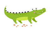 Fototapeta Dinusie - Happy Green Crocodile or Gator Animal with Sharp Teeth Vector Illustration