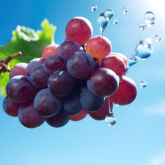 Wall Mural - bright and juicy essence of a grape, ai