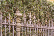Close up of a beautiful iron fence in the Garden District neighborhood of New Orleans. Shallow focus on the neck of the largest post for artistic effect.