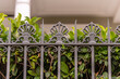 Close up of a beautiful iron fence in the Garden District neighborhood of New Orleans. Close up shallow focus on the top section of the center fleur de lis.