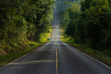 Blurred Road In The Middle Of The Forest And Ascending To The Top Of The Hill. In Khao Yai National Park, Thailand.