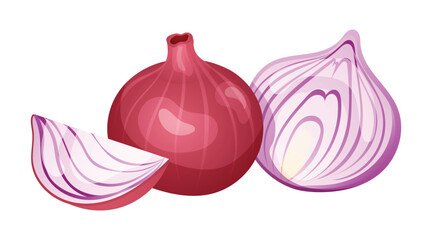 Red onion of cut and whole vector illustration isolated on white background