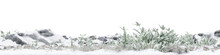 Plant And Grass Field With Rock On Snow Ground In Nature, Forest In Winter On Isolated Transparent Background - PNG File, 3D Rendering Illustration For Create And Design Or Etc