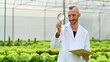 © Prathankarnpap - Caucasian male scientists holding magnifying glass and clipboard standing among vegetable in industrial greenhouse
