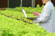 © Prathankarnpap - Geneticists, biologists, scientists holding laptop while working on research in industrial greenhouse