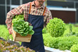 © Prathankarnpap - Shot of a farmer holding a wooden crate full of fresh organic vegetables standing in greenhouse plantation