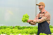 © Prathankarnpap - Happy caucasian male worker in apron working in cultivation of organic vegetable in greenhouse. Agribusiness concept