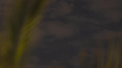 Wall Mural - dramatic and scary orange moon light on the dark night sky with bright stars