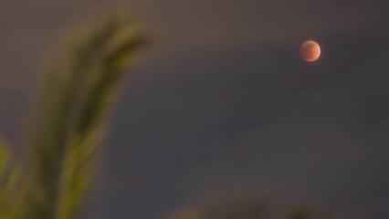 Wall Mural - moody, dramatic timelapse of orange glowing full moon in the night sky