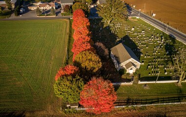 Sticker - Drone View of a Row of Trees with Fall Bright Colors on a Early Morning Sunrise