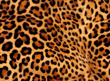Animal Skin Leopard Seamless Pattern Design. Jaguar, Leopard, Cheetah, Panther Fur. Seamless Camouflage Background For Fabric, Textile, Design, Cover, Wrapping.