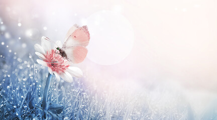 Wall Mural - wild flower and butterfly in the meadow.
