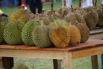 Wall Mural - Durian, the king of fruit. Durian is one of the exotic fruit from East Asia. This fruit has strong aroma, 