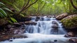 An Expressive Image Of A Waterfall In A Tropical Forest
