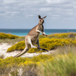 Canguro saltando en Australia, paisaje de isla de canguros. Generative ai.