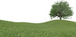 Realistic grass hill and tree. 3d rendering of isolated objects.