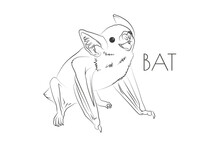 Illustration Of A Animal - Bat, Mammalia
