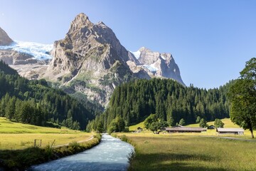 Sticker - Narrow river surrounded by evergreen trees and beautiful mountains on a spring day