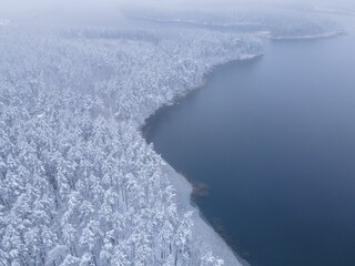 Sticker - Aerial shot of the snow-covered fir forest trees near the frozen lake on a foggy day