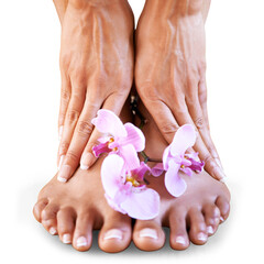 Poster - Woman, feet and flowers for pedicure, natural skincare and isolated on transparent png background. Closeup, beauty and barefoot of floral orchid plants, sustainable wellness or healthy nail cosmetics