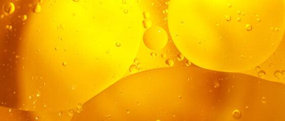 Wall Mural - Gold Oil bubbles close up. circles of orange water macro. abstract shiny yellow background