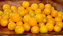 Closeup Shot Of The Ripe And Shiny Sungold Cherry Tomatoes For Sale In A Local Market