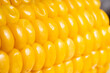 Close up of sweet buttered corn on the cob