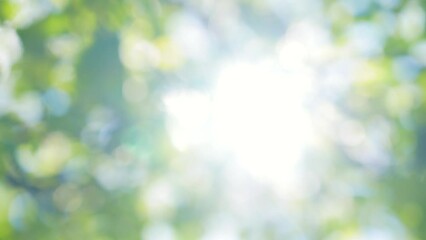 Natural blurry defocused colorful 4k video background with soft sun flares and glowing. Defocused spring or summer foliage of trees blown by wind. Branches swaying isolated on sunny blue sky backdrop