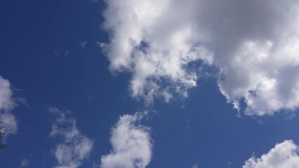 Wall Mural - 4k stock video footage of clear sunny morning blue sky with flying fast white fluffy huge clouds. na