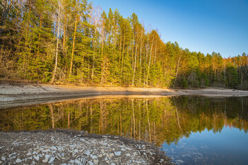 Wall Mural - Panoramic spring landscape of a lake with a forest, stumps on the shore, Russia, Ural