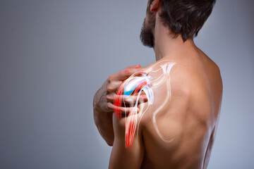 shoulder muscle and nerve pain, man holding painful zone injured point, human body anatomy