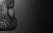 unshaved man  beard detail close-up