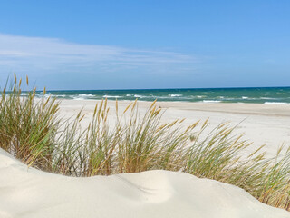 sand dunes on the beach, vacation, blue sky 