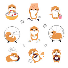 Poster - Cute little guinea pig in everyday activities set. Adorable pet animal eating, sleeping and running in wheel cartoon vector illustration