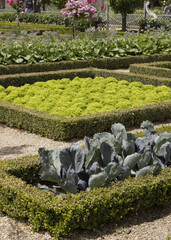 Sticker - Jardin potager à la française du château de Villandry	