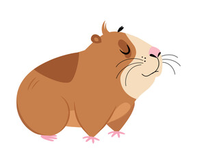 Canvas Print - Cute guinea pig. Funny brown pet rodent cartoon vector illustration