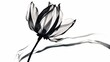 Bold mono weight sketch of a minimalist flower
