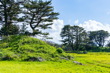 日本の風景　秋田県にかほ市　象潟九十九島の田園風景