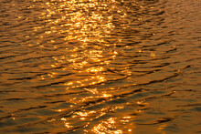 Gold Water With Ripples On The Surface. Defocus Blurred Transparent Gold Colored Clear Calm Water Surface Texture With Splashes And Bubbles. Water Waves With Shining Pattern Texture Background.