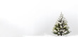flocked Christmas tree in a white room, room for text or copy