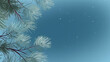 frosted pine bough on a light blue background, Christmas and the Holidays