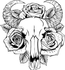 Poster - Cow or bull skull with roses. Outline vector illustration isolated on white background