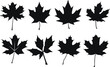 Set of maple leaf silhouettes. Maple leaf vector illustrations set.