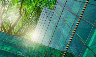 Wall Mural - Sustainble green building. Eco-friendly building in modern city. Sustainable glass office building with tree for reducing carbon dioxide. Office with green environment. Corporate building reduce CO2.