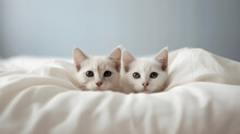 Two Adorable Kittens Poking Their Heads Out Of A Big Lovely Duvet