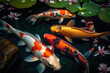 koi fish in water with Lotus Flower colorful beautiful, generative AI