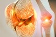 Knee joint with healthy cartilage, cross section. 3d illustration