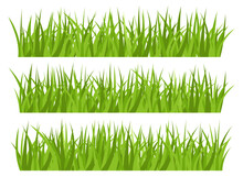 Green Grass Vector Design Illustration Isolated On White Background