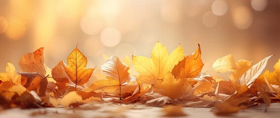 Wall Mural - Golden autumn leaves in sunlit sky, perfect. Thanksgiving backdrop with blurred bokeh foliage. Generative AI